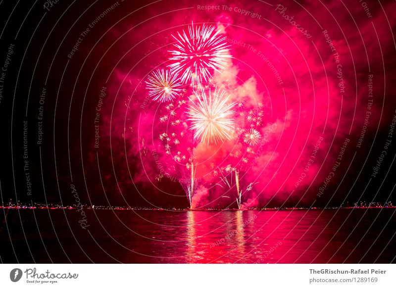 fireworks Art Artist Work of art Stage play Violet Pink Red Black Silver White Lake Water Reflection star-shaped Smoke Sulphur Fire Firm Feasts & Celebrations