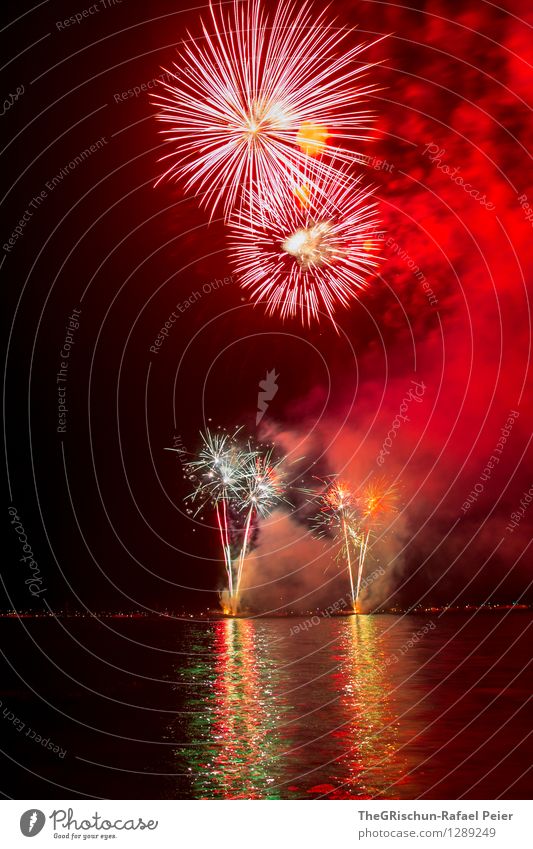 fireworks Art Artist Work of art Stage play Yellow Gold Gray Orange Pink Red Black White Fire Firecracker To enjoy Fantastic Inspiration Long exposure Explosion