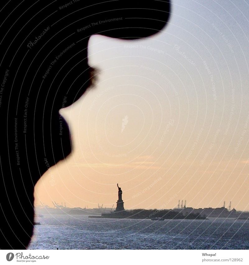 freedom profile Silhouette Man Facial hair New York City Sunset Romance Brooklyn Profile Shadow Nose Mouth USA Freedom liberty Water ... Statue of Liberty
