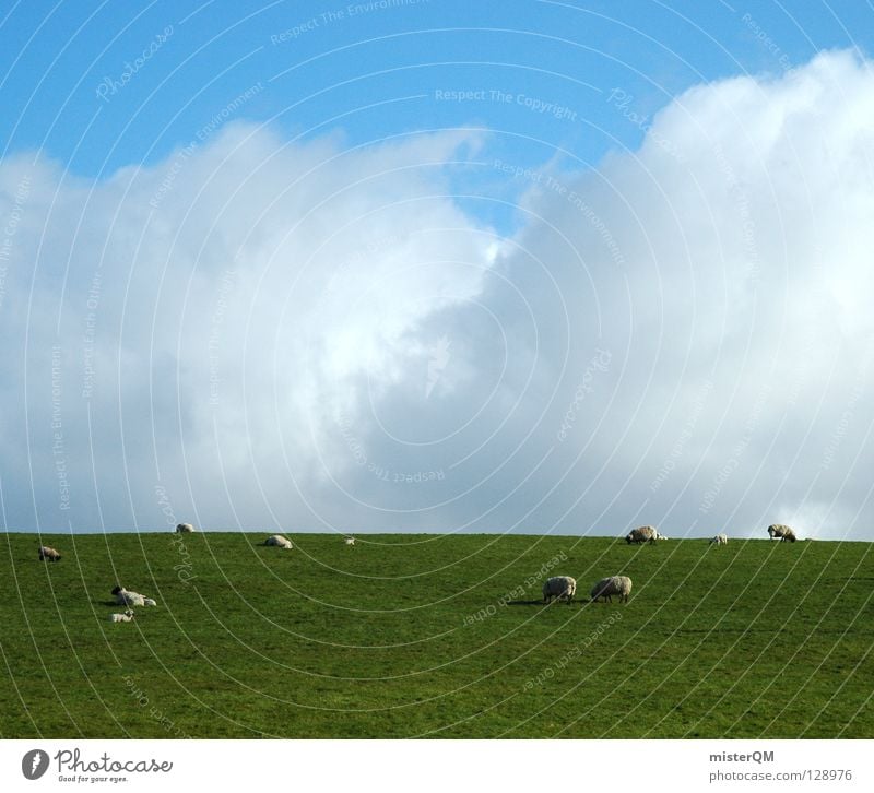animal sky Sheep Grass Meadow Clouds Silhouette Sky Calm Peace Peace-loving Hazard-free To feed Romance Green White Gray Future Vantage point Ambiguous Animal