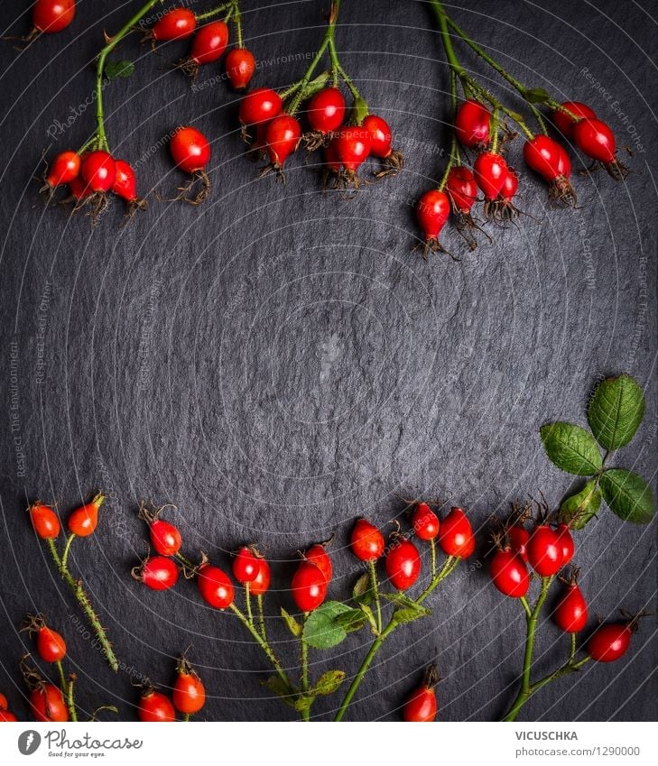 Rosehips on dark slate background, top view Food Fruit Nutrition Tea Style Design Alternative medicine Healthy Eating Life Cure Table Nature Plant Garden Retro