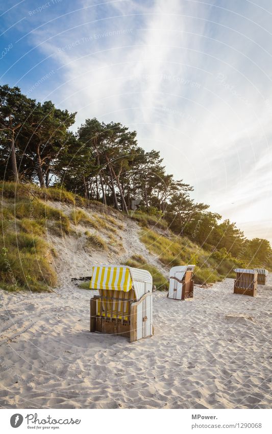 zempin Environment Nature Landscape Sand Wind Tourism Vacation & Travel Baltic Sea Beach Beach chair Dune Forest Sunset Health Spa Sky Clouds Walk on the beach