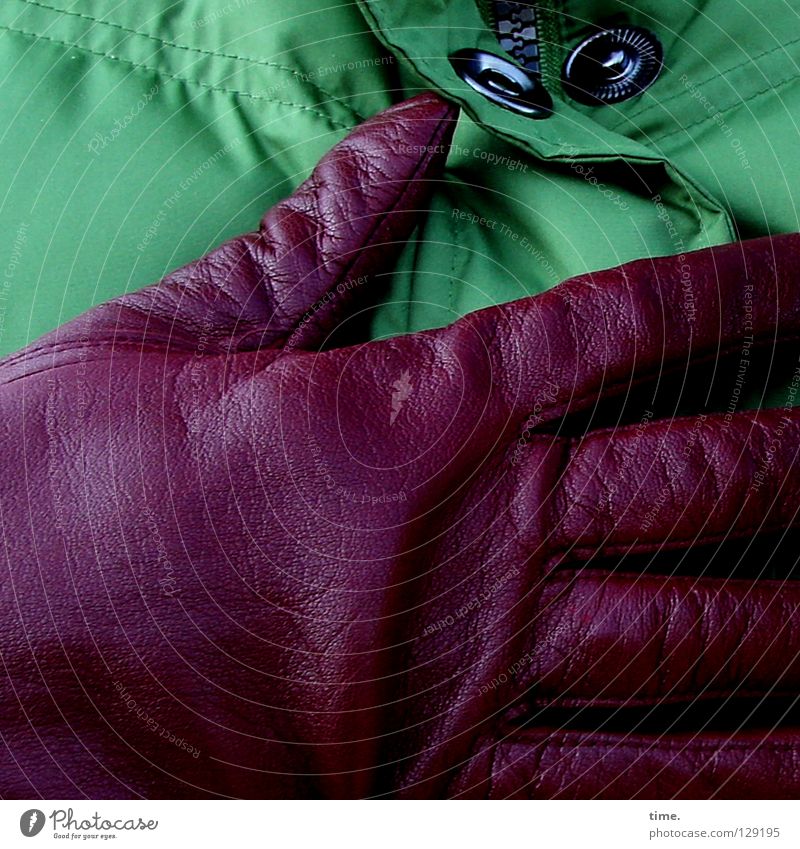 Contrast medium (II) Green Aubergine Red Jacket Gloves Leather Colour combination Cover Art Arts and crafts Detail Clothing gloves Noble held contrasted Heart