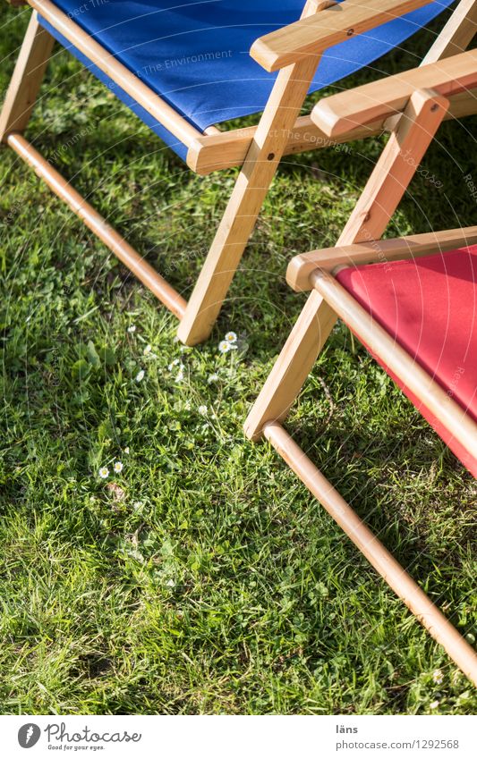 sunbathing lawn Deckchair Closing time Meadow Break Garden Summer