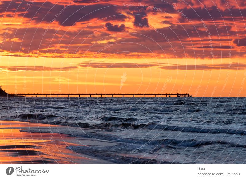 Elementary Beach Baltic Sea Maritime Ocean Sky Sunset Sea bridge Usedom