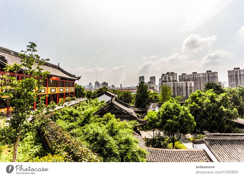 View from the temple over Jiangyin China Asia Town Deserted House (Residential Structure) Architecture Roof Climate Luxury Living or residing Future