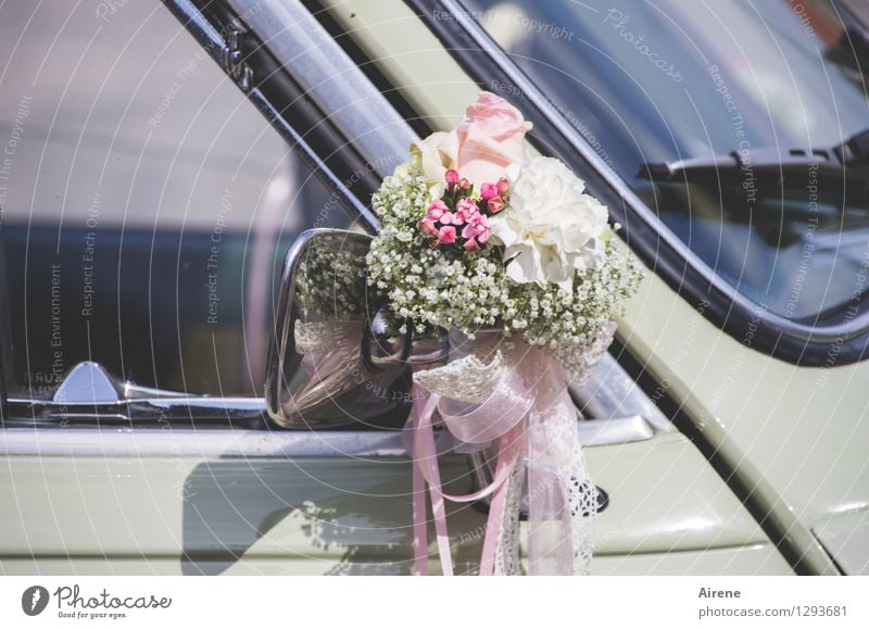 0815 AST | Striussel Feasts & Celebrations Wedding Means of transport Car Vintage car wedding car bridal car Decoration Bouquet flower decoration Bow Esthetic