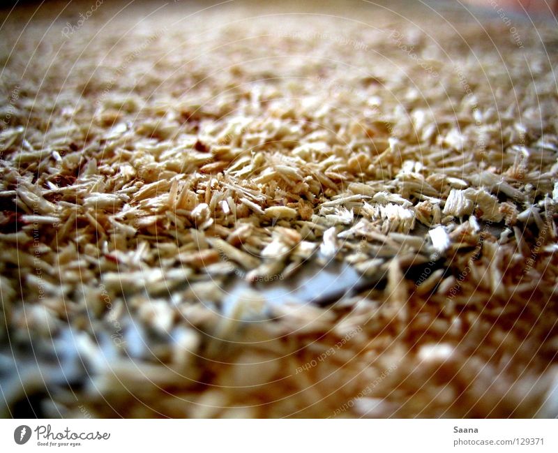 Where there's planing, there's shavings. Saw Saw mill Wood Construction site Craft (trade) Industry planing mill Rasp sawdust construction waste grit