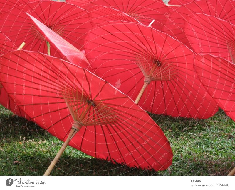 red umbrellas Red Sunshade Paper Asia Thailand Chiangmai Craft (trade) Vacation & Travel Art Arts and crafts  Colour Summer