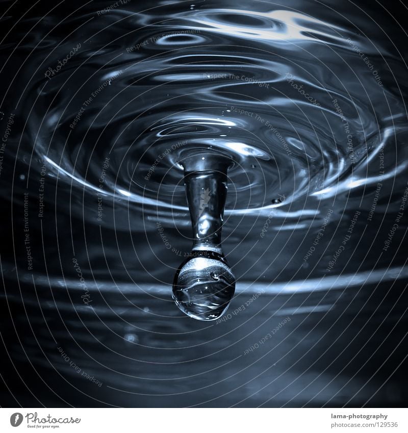 Fallin' (drop of water) Drops of water Fluid Liquid Water Thirsty Beverage Fresh Refreshment Surface Surface of water Reflection Mirror Glittering Waves Melt