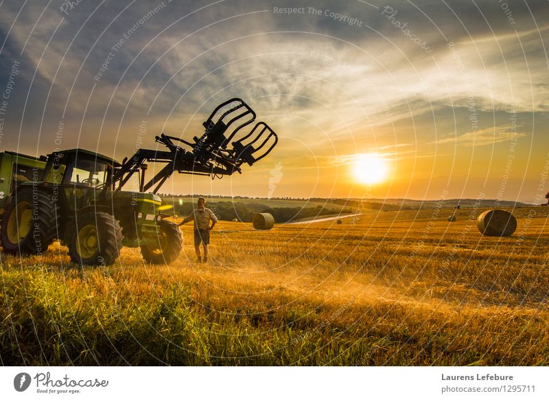 Farmer and his tractor in the hay field Summer Sun Advancement Future Masculine Man Adults 1 Human being 45 - 60 years Nature Landscape Agricultural crop