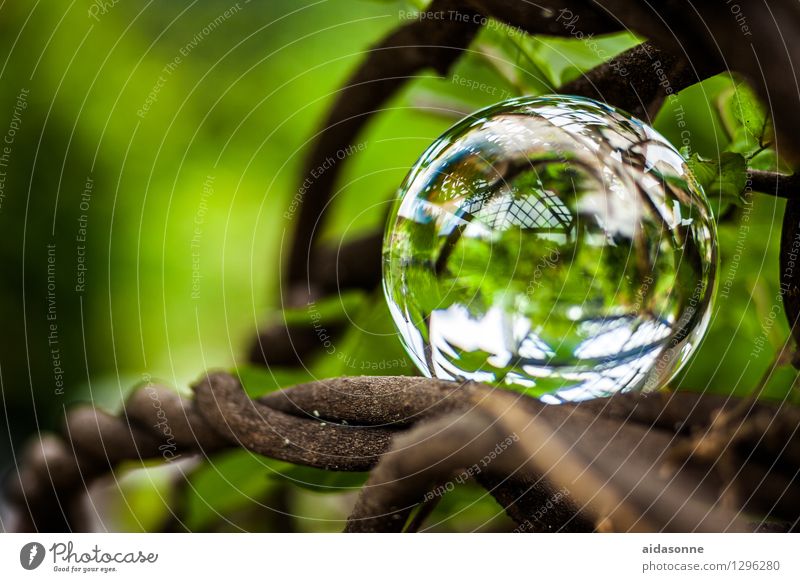 glass ball Nature Plant Garden Park Forest Decoration Kitsch Odds and ends Glass ball Attentive Watchfulness Caution Serene Patient Calm Colour photo