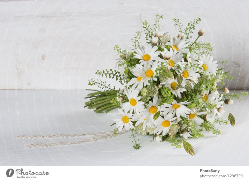 Wild Flower Bouquet II Blossom Bright Beautiful Natural Yellow Green White Marguerite Wedding Vintage Colour photo Interior shot Copy Space left