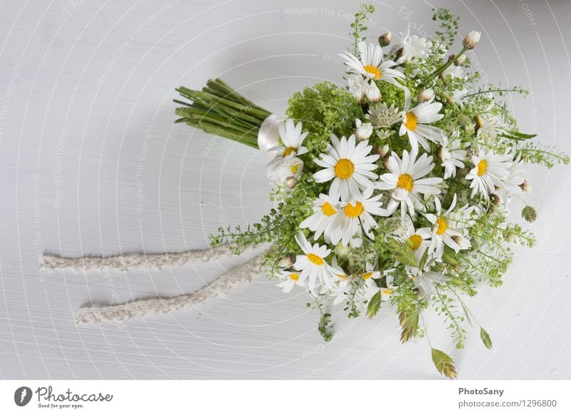 Wildflower bouquet III Plant Flower Blossom Fresh Bright Beautiful Yellow Green White Style Stagnating Moody Bouquet Marguerite Colour photo Studio shot