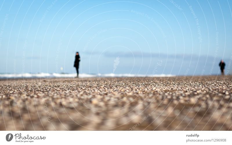 beach views Vacation & Travel Freedom Beach Waves Winter Human being 2 Nature Landscape Sand Water Sky Weather Beautiful weather Coast North Sea Clothing Coat