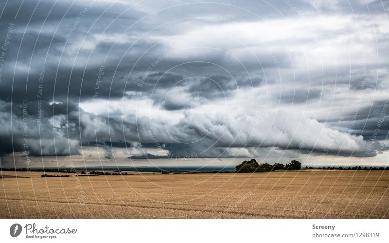 Weather Nature Landscape Plant Sky Clouds Storm clouds Summer Bad weather Field Threat Variable Horizon Far-off places Change in the weather Eifel Colour photo