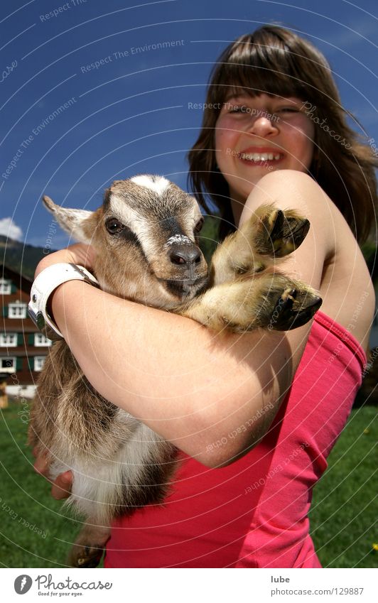 Heidi Goats Farmer Agriculture Girl Thusnelda Joy goat kid Laughter