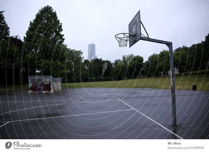 basket size Q Athletic Fitness Leisure and hobbies Sports Ball sports Sporting Complex Halfpipe Tree Meadow Town Park Gray Basketball Basketball basket