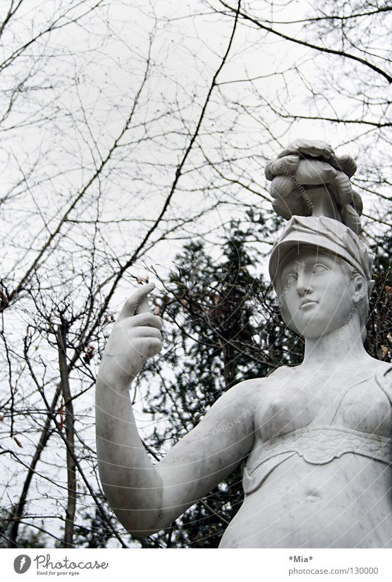Blind Statue Tree Branchage Bushes Dark Gray Black White Woman Retentive Helmet Twig Sky Bright Looking Arm