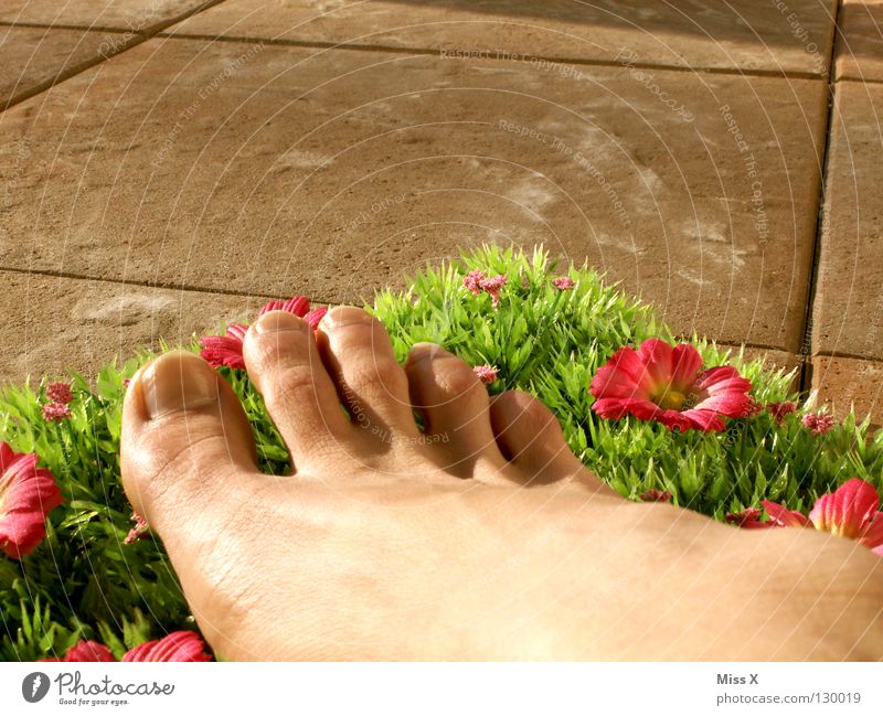 balkonies Colour photo Exterior shot Summer Feet Flower Grass Balcony Terrace Happy Happiness Vacation & Travel Toes Lawn Placed Tile Idea Barefoot