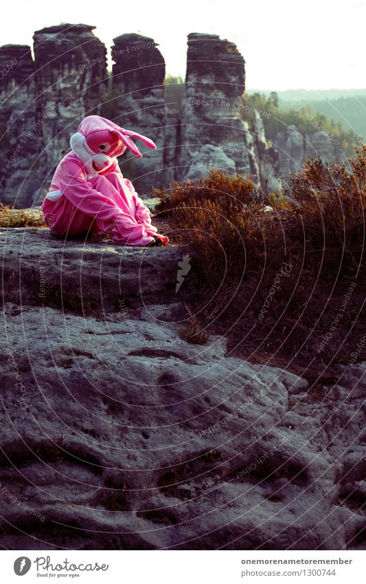 Poor Lil' Bunny Art Work of art Esthetic Nature Saxon Switzerland Rock Pink Carnival costume Disguised Sadness Withdrawn Meditative Crouch Crouching Distress