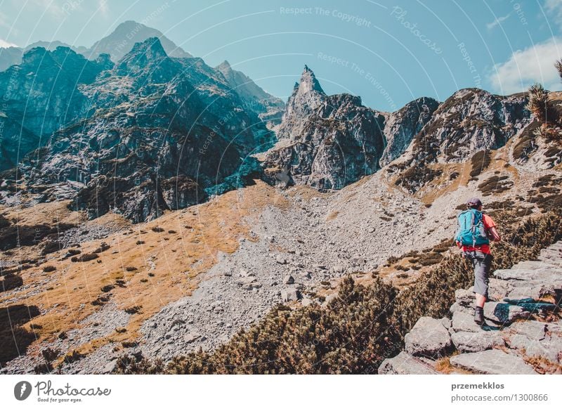 Hike in the Tatra Mountains Lifestyle Vacation & Travel Trip Adventure Freedom Summer Hiking Boy (child) 13 - 18 years Youth (Young adults) Nature Rock Joy