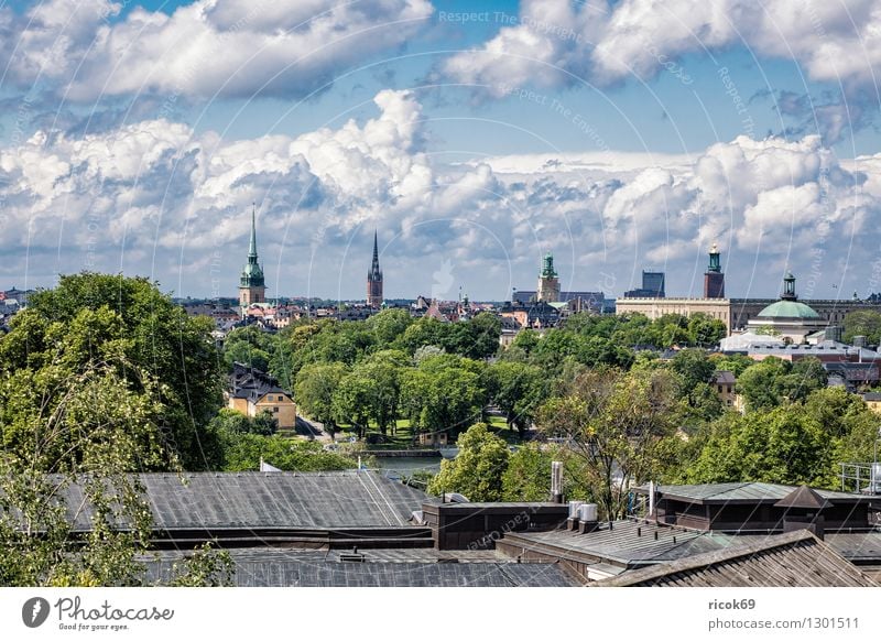 View of Stockholm Relaxation Vacation & Travel Tourism House (Residential Structure) Clouds Tree Coast Town Capital city Building Architecture
