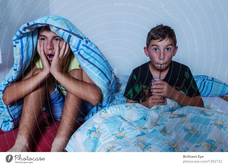 Shocked children in front of the television Room Bedroom Masculine Child 2 Human being Television Watching TV Film industry Video Looking Sleep Creepy Cliche