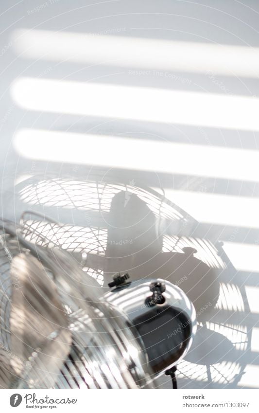 light wind Fan fresh breeze Hot Bright Round Silver White Cool (slang) Interior shot Detail Copy Space top Morning Light Shadow Contrast