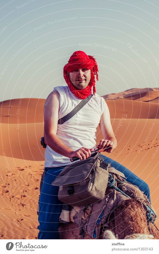 1500 unembellished views Desert Hideous Funny steffne Camel Dune Jubilee Colour photo Exterior shot Portrait photograph