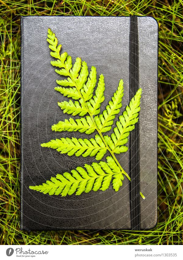 Closed black notebook with a green fern leaf attached Book Nature Grass Forest Stationery Paper Esthetic Authentic Elegant Fresh Natural Positive Green Black