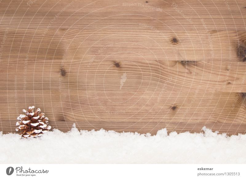 In the snow Snow Christmas background Card Winter Cone Wood Esthetic Simple Retro Brown White Joie de vivre (Vitality) Colour photo Subdued colour Deserted
