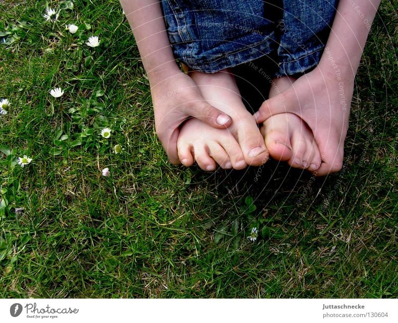 foot reflex zones Toes Barefoot Hand Fingers Crouch Grass Meadow Children's foot Footwear Dirty Daisy Flower Sheepish Foot reflexology massage Healthy