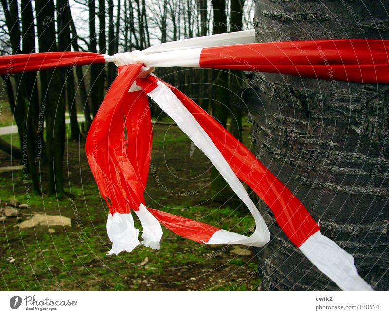 crime scene Environment Nature Tree Forest Lanes & trails Stone Wood Sign Signs and labeling String Knot Hang Red White Barrier Reddish white Protection Plastic