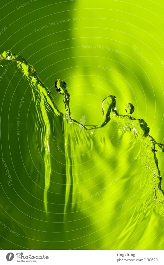 sloshed Wet Damp Green Bright green Abstract Flow Transparent Fresh Undulating Near Shadow Drops of water Water Statue sloshing Upward Clarity