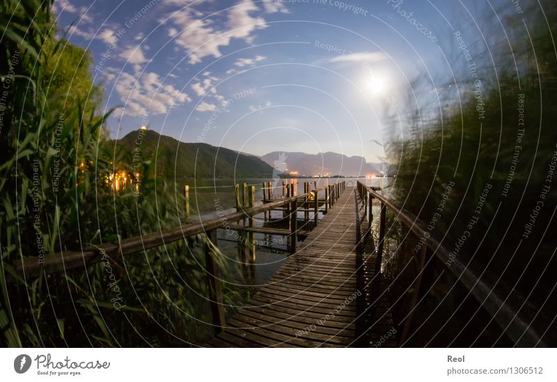 Nocturnal footbridge II Vacation & Travel Adventure Far-off places Nature Landscape Elements Water Night sky Full  moon Common Reed Hill Alps Mountain Lake