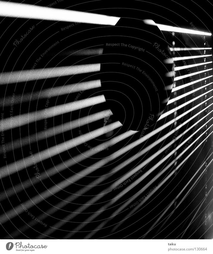 STRIPES III Light Stripe Room Wall (building) Lamp Wake up Black & white photo Sun Shadow living space Modern Morning ...