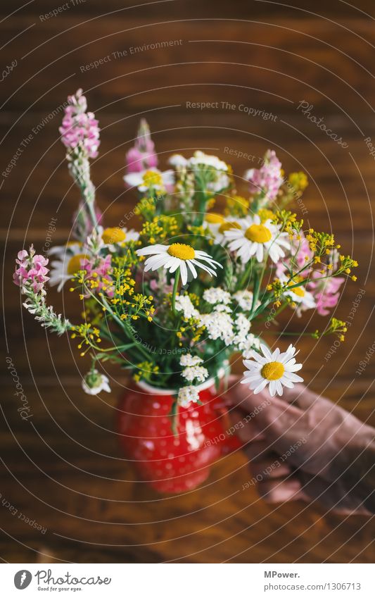 A colourful bouquet 1 Human being Plant Flower Beautiful Bouquet Spring flower Hand Vase Fragrance Gift Mother's Day Herbs and spices Wooden table Salutation