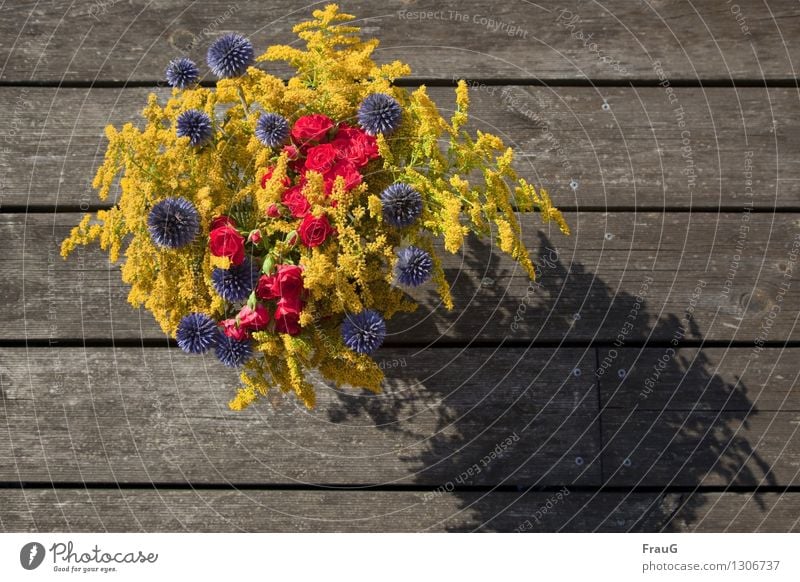 a last summer greeting Flower Bouquet summer bouquet Rose globe thistles Wooden board Blue Yellow Red Life Colour Shadow Weathered Multicoloured Summer