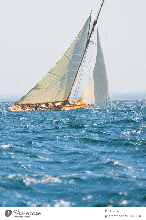 sailing dream Sailing Yacht Blue Joy Movement Elegant Relaxation Experience Freedom Leisure and hobbies Horizon Life Vacation & Travel Sports Tourism Sailboat