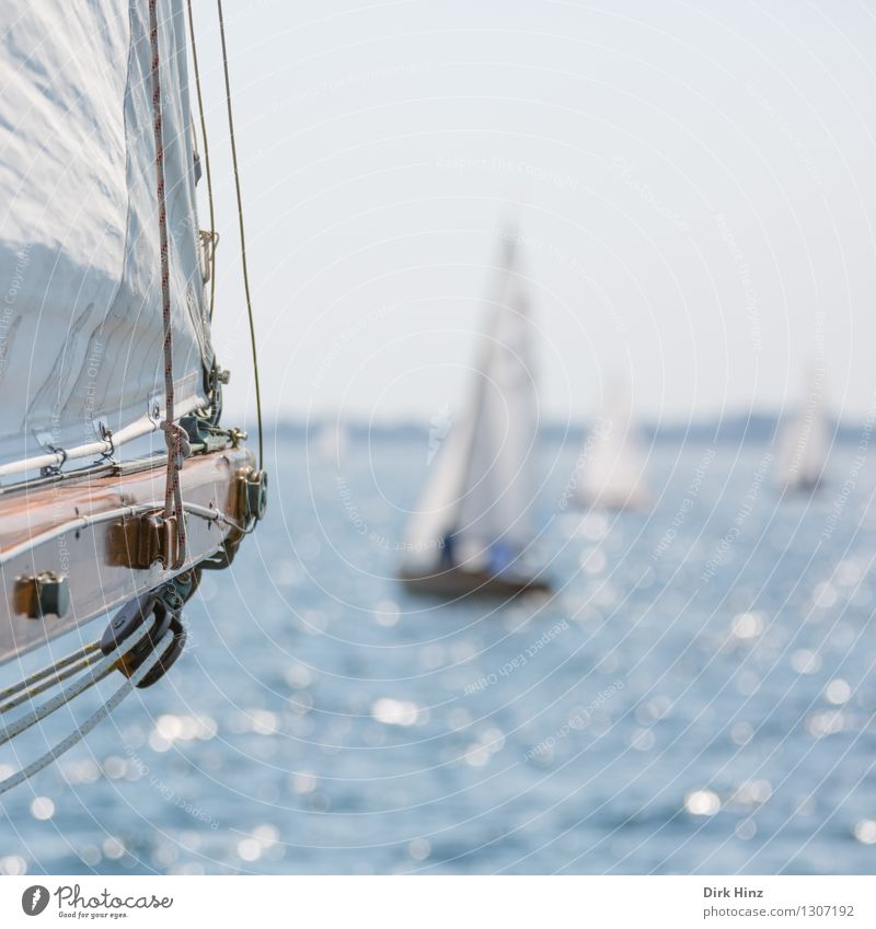 sail view Sailing Yacht Blue Laboe sail tree Sailboat Sailing ship Sailing yacht Sailing trip Sailing vacation Vantage point Rope Water Surface of water