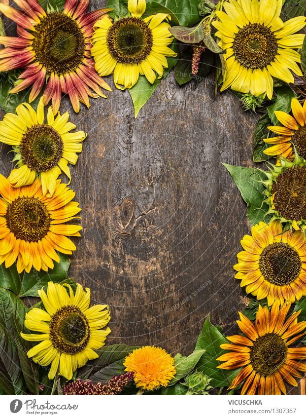 Background with colorful sunflowers Style Design Life Garden Table Nature Plant Summer Autumn Flower Bouquet Retro Yellow Background picture Top Vintage