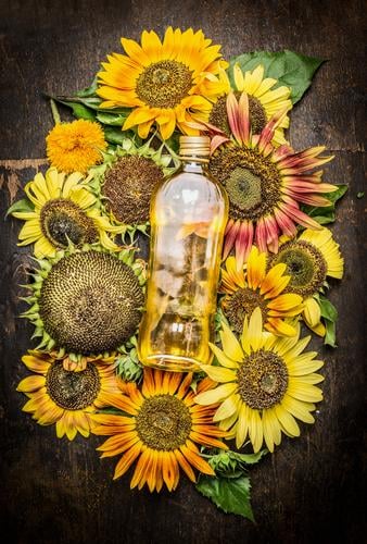 Sunflower oil with colourful sunflowers Food Cooking oil Nutrition Organic produce Vegetarian diet Diet Bottle Glass Summer Nature Flower Agricultural crop