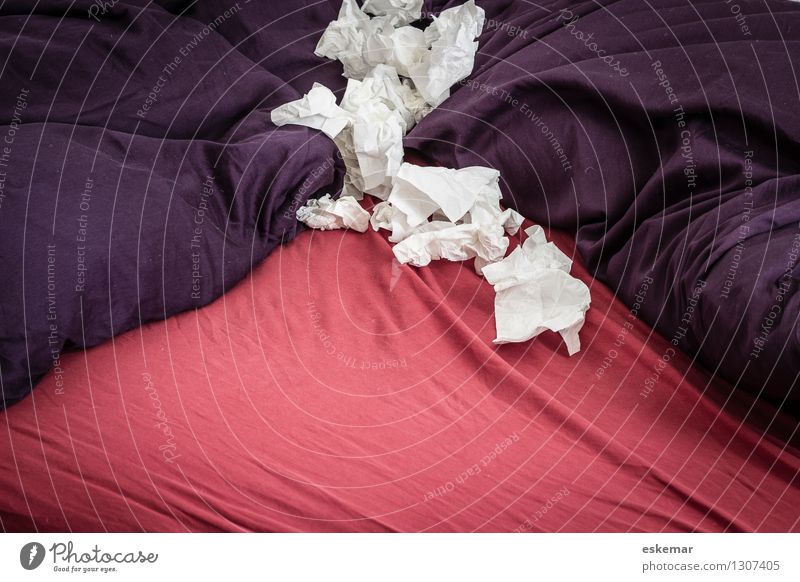 cold Flat (apartment) Bed Bedroom Handkerchief Illness Violet Red Healthy Health care Living or residing Common cold Colour photo Interior shot Deserted