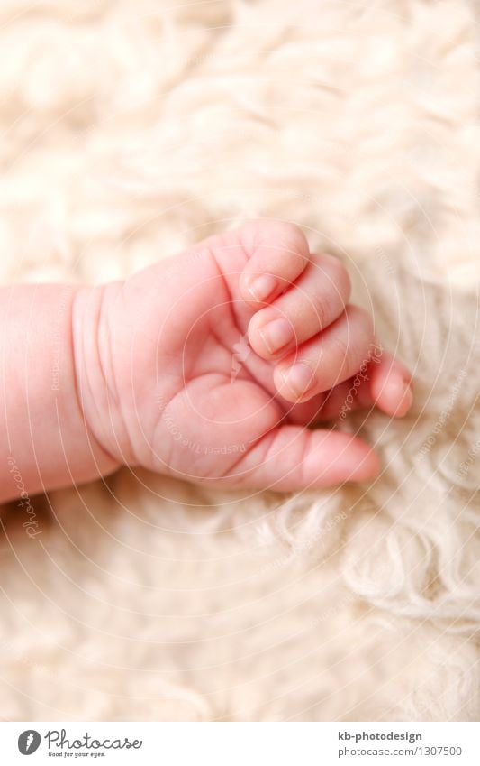 Hand of a small baby Personal hygiene Healthy Health care Human being Baby 1 To hold on child head health medicine silence sleep toddler young blank