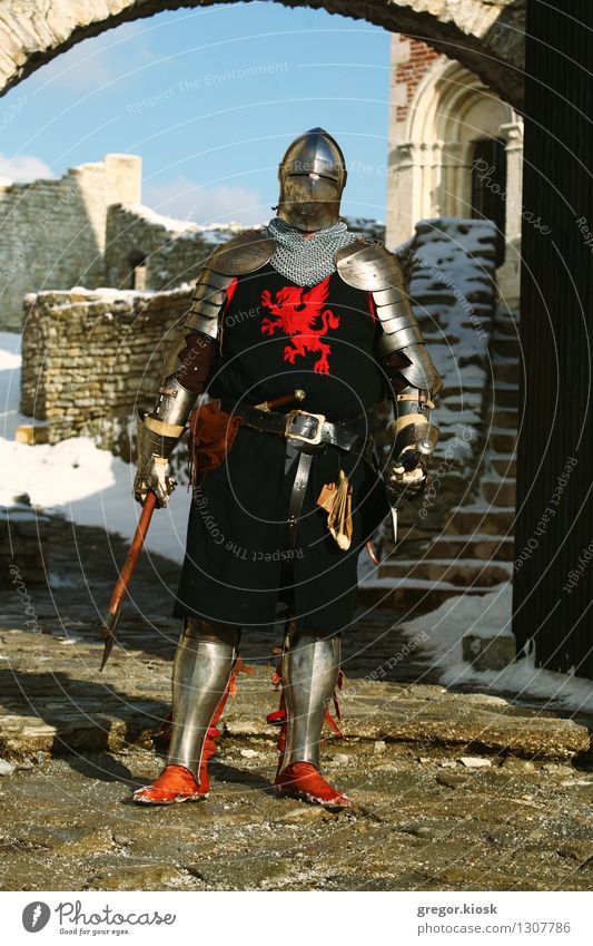 Red Dragon Knight Man Adults 1 Human being 18 - 30 years Youth (Young adults) Warrior Winter Ice Frost Snow Old town Castle Ruin Wall (barrier) Wall (building)