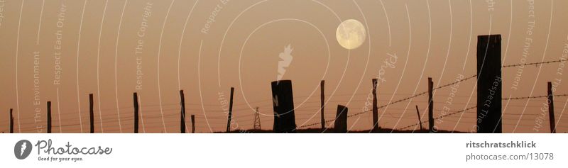fence panorama, evening mood Field Meadow Fence Full  moon Barbed wire Moon