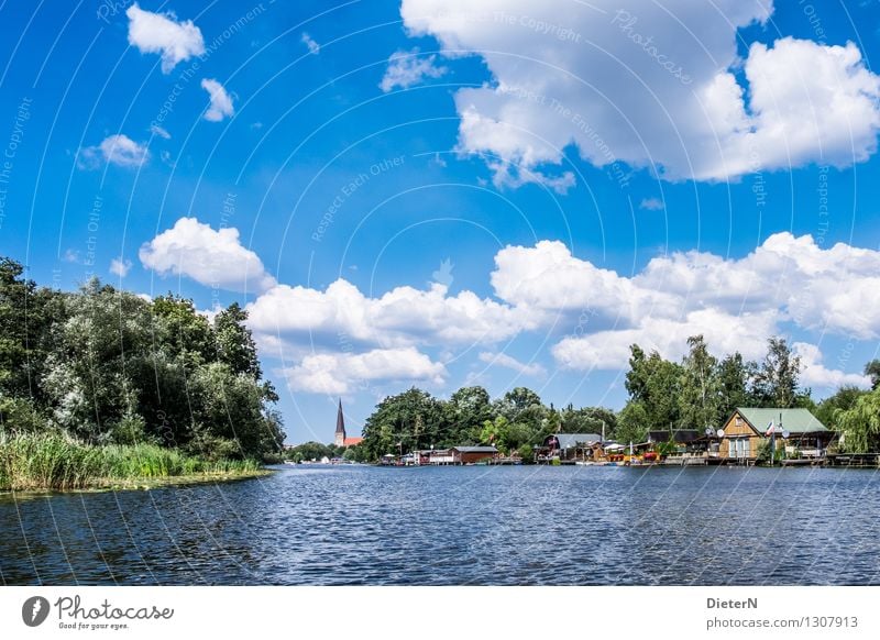 Warnov Nature Landscape Water Sky Clouds Summer Weather Beautiful weather Tree Lakeside River bank Rostock Outskirts Deserted Church Manmade structures Building