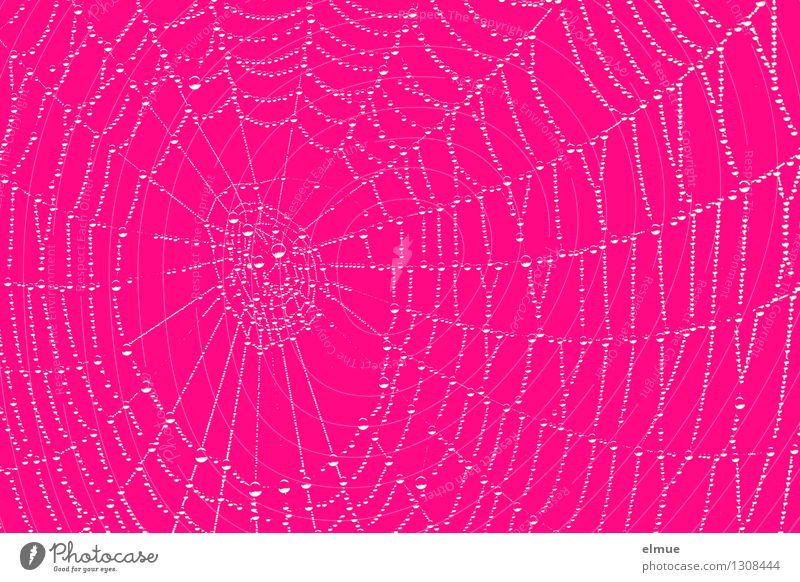 think pink Drops of water Fog Spider's web Sphere Net Pearl necklace Esthetic Exceptional Hip & trendy Crazy Trashy Pink Happiness Love Lust Tolerant Ease