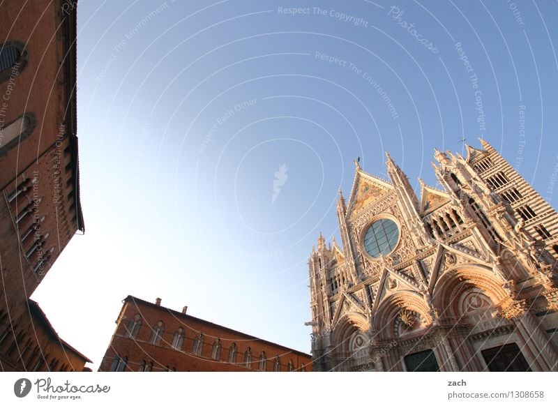 Siena Cloudless sky Italy Tuscany Small Town Downtown Old town House (Residential Structure) Religion and faith Church Dome Palace Places Tower